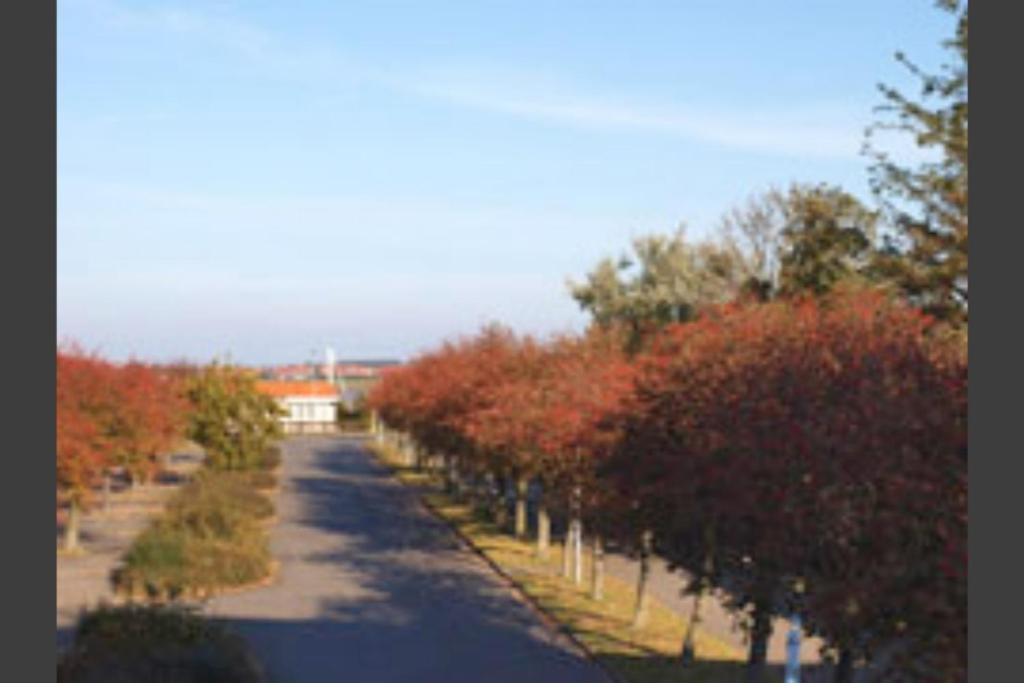 Hafenblick - Mit Balkon & Strandkorb Am Suedstrand Apartment Fehmarn